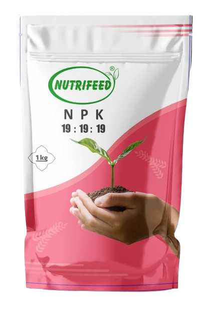 Nutrifeed N:P:K 19:19:19