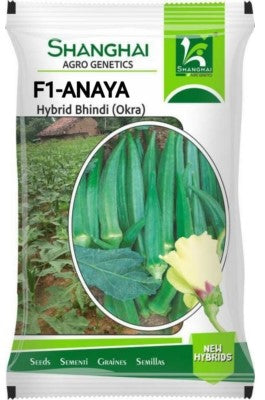 Okra / Lady Finger F1 Ananya