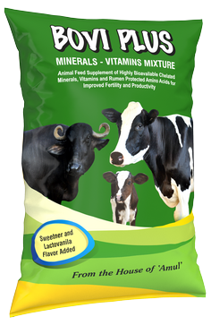 Amul Bovi Plus Mineral Mixture