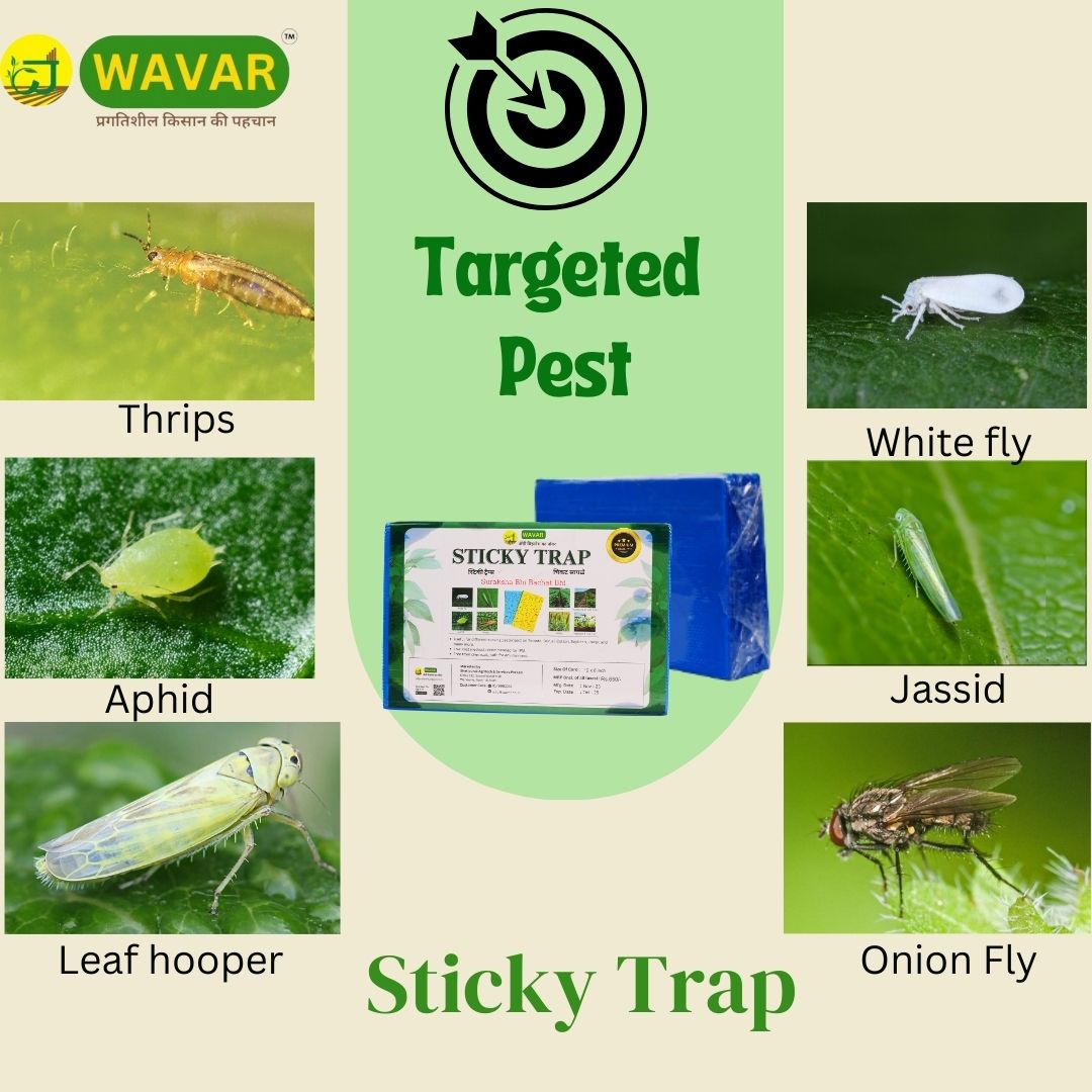 Wavar Blue Sticky Trap for Pest, Thrips, Aphids, Leaf Miner, Jassids, & All Harmful Flying Insects 25 sheet in bundle