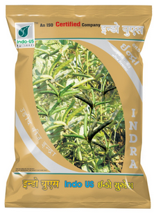 Blackgram / Udad Indo US Indra