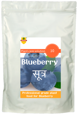 Ecotika Blueberry Sutra Plant Food