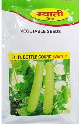 BottleGourd / Lauki Swati-11