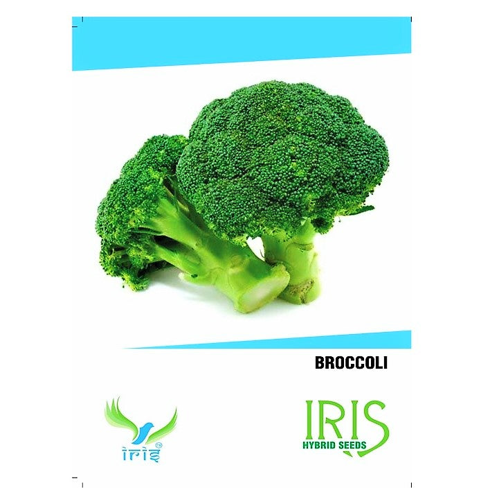 Iris F1 Broccoli 15 Seeds