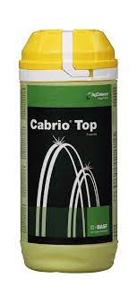 Cabrio Top - Metiram 55% + Pyraclostrobin 5% WG