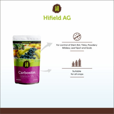 Carbostin - Carbendazim 50% WP 500 grams (Hifield-AG)