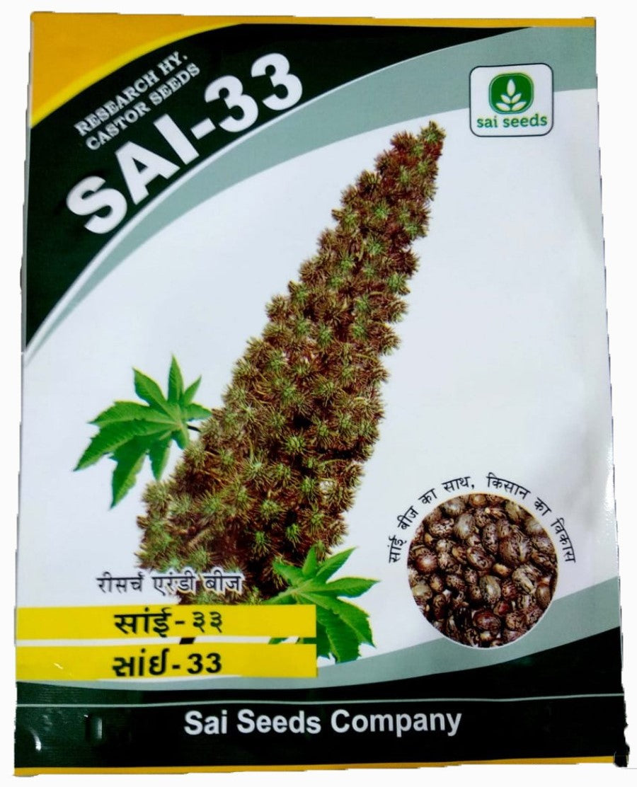 Castor / Aerandi Sai-33