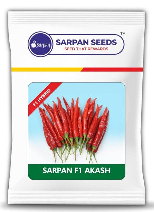 Chilli / Hot Pepper Sarpan F1 Akash