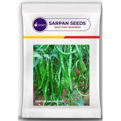 Chilli / Hot Pepper Sarpan Avinash -10 grams