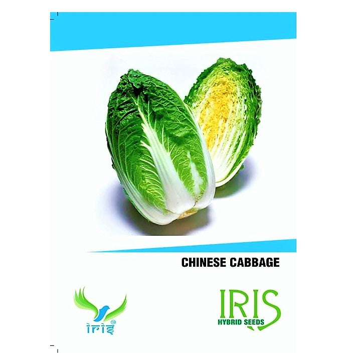 Iris F1 Chinese Cabbage 20 Seeds