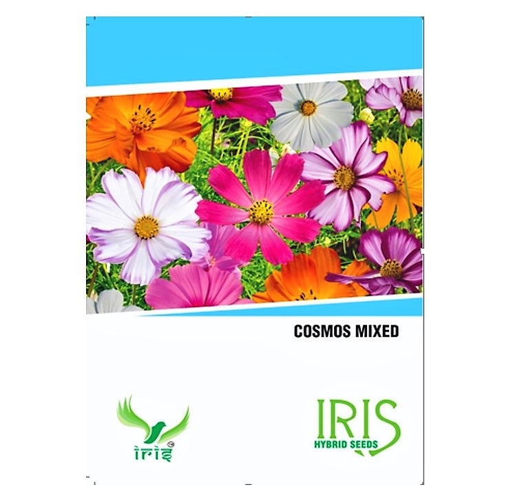Iris Imported Cosmos Mix 15 Seeds