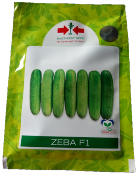Cucumber Zeba