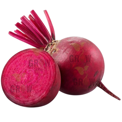 Grow Delight Imported Beetroot GD-007