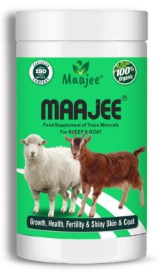 Maajee Feed Supplement for Goat and Sheep 908 grams (Offer)
