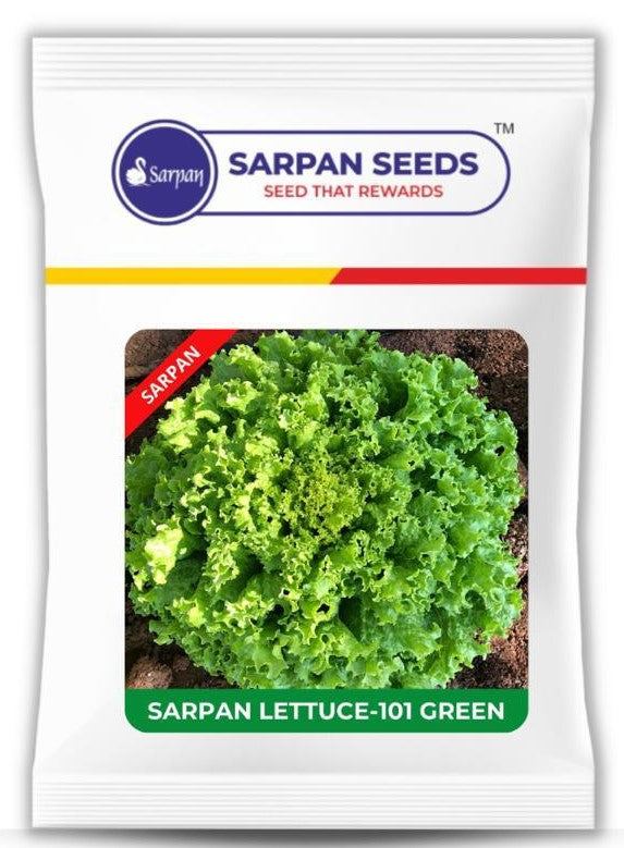 Sarpan Lettuce-101 Green