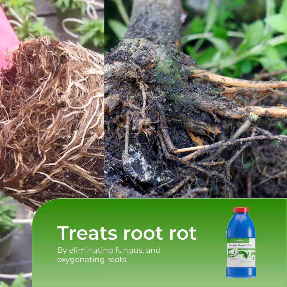 Wesol Hydrogen Peroxide 7.6% w/w for Plants - 1 litre