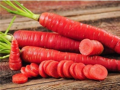 Carrot IVCTH-901 250 grams