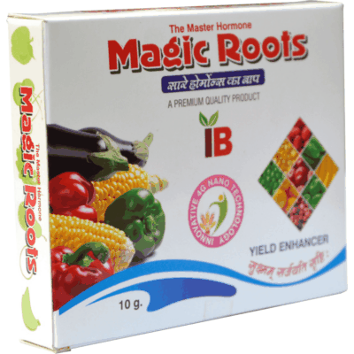 Magic Roots