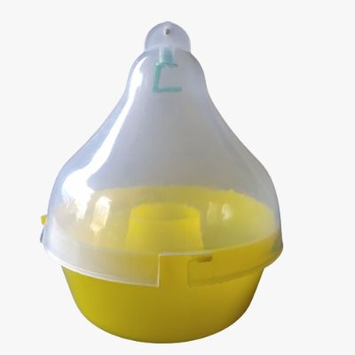 Combo Pack of Bio Phero BD (Fruit Fly) Lure & Mac Phill trap set (Pack of 10 Pieces)