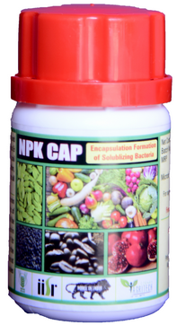 NPK Cap - Pack of