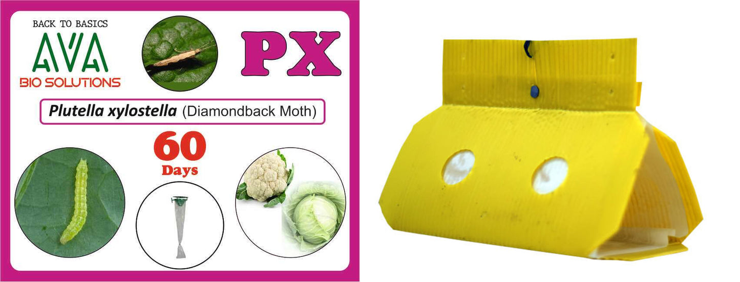 Ava Combo Pack of Delta Trap + PX Lure