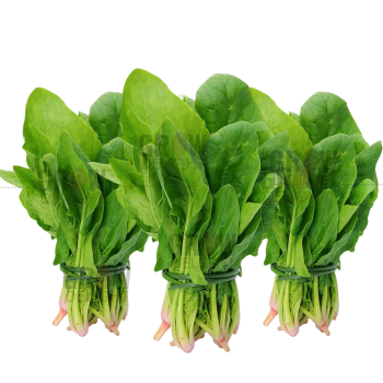 Grow Delight Palak Green Gulmohar