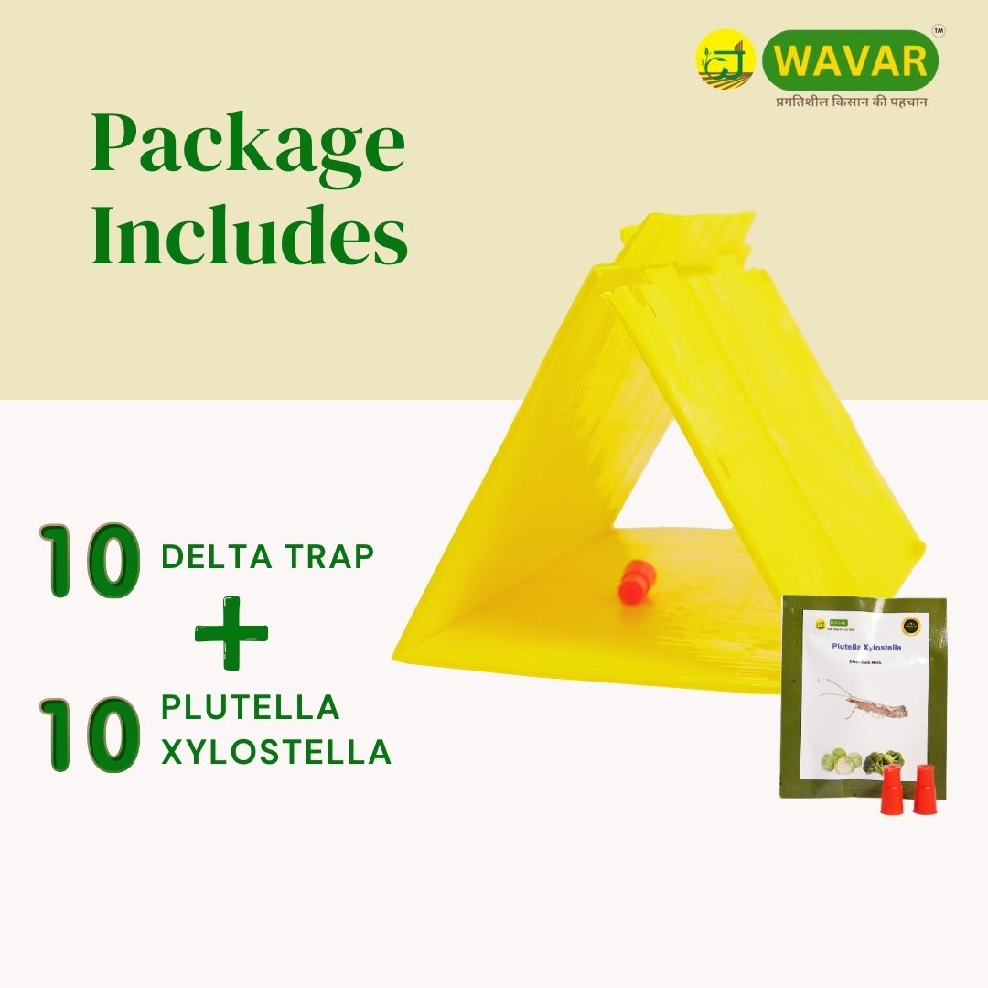 Wavar Delta Trap with Plutella Xylostella Lure