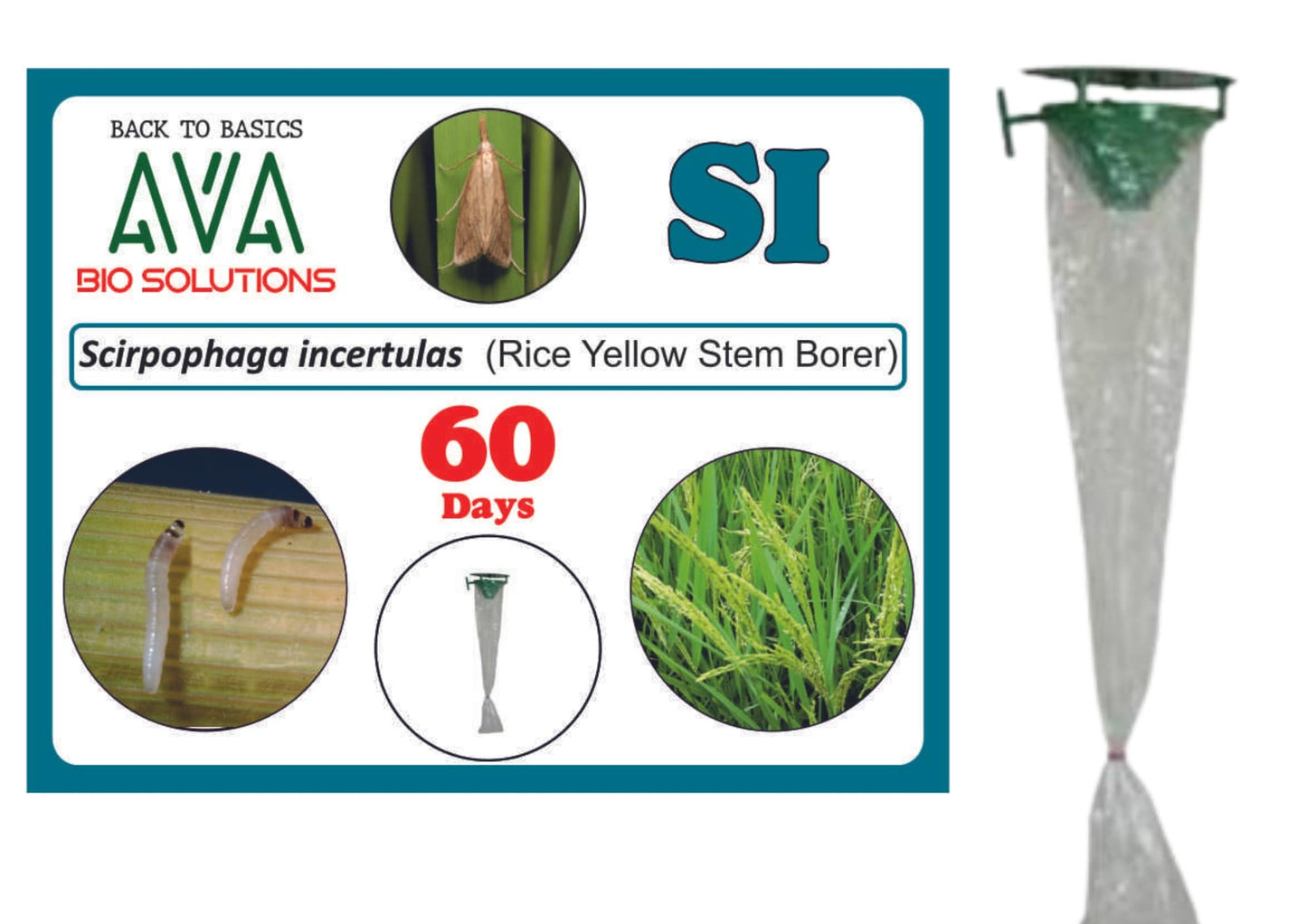 Ava Combo Pack of Funnel Pheromone Trap + SI Lure