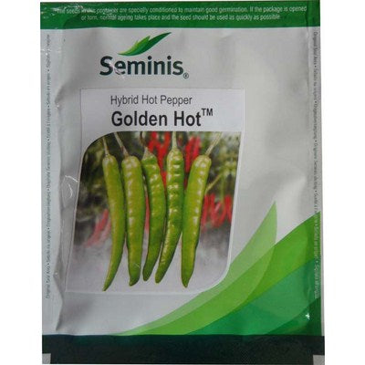 Chilli / Hot Pepper GOLDEN HOT