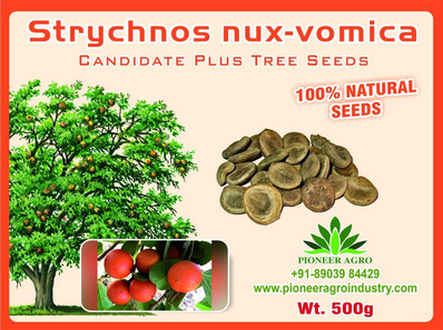 Strychnos Nux-Vomica / Jahar Tree Seed