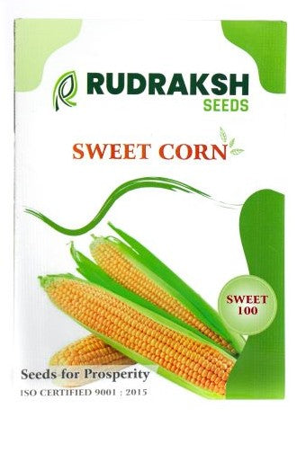 Sweet Corn Sweet 100