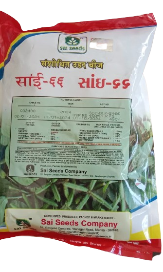 Blackgram / Udad Sai-66