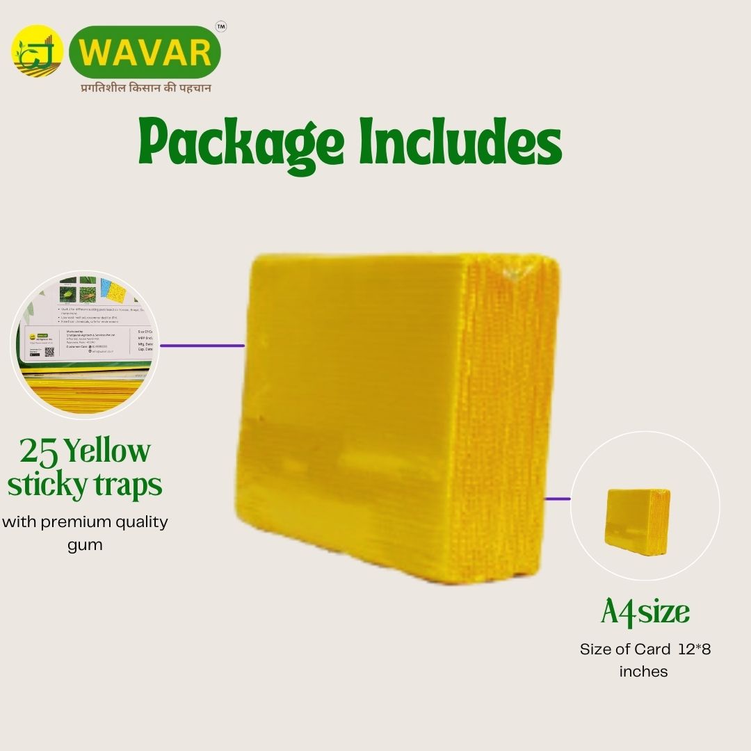Wavar Yellow Sticky Trap/ Insect trap for Thrips, white flies, for garden 25 sheet in bundle