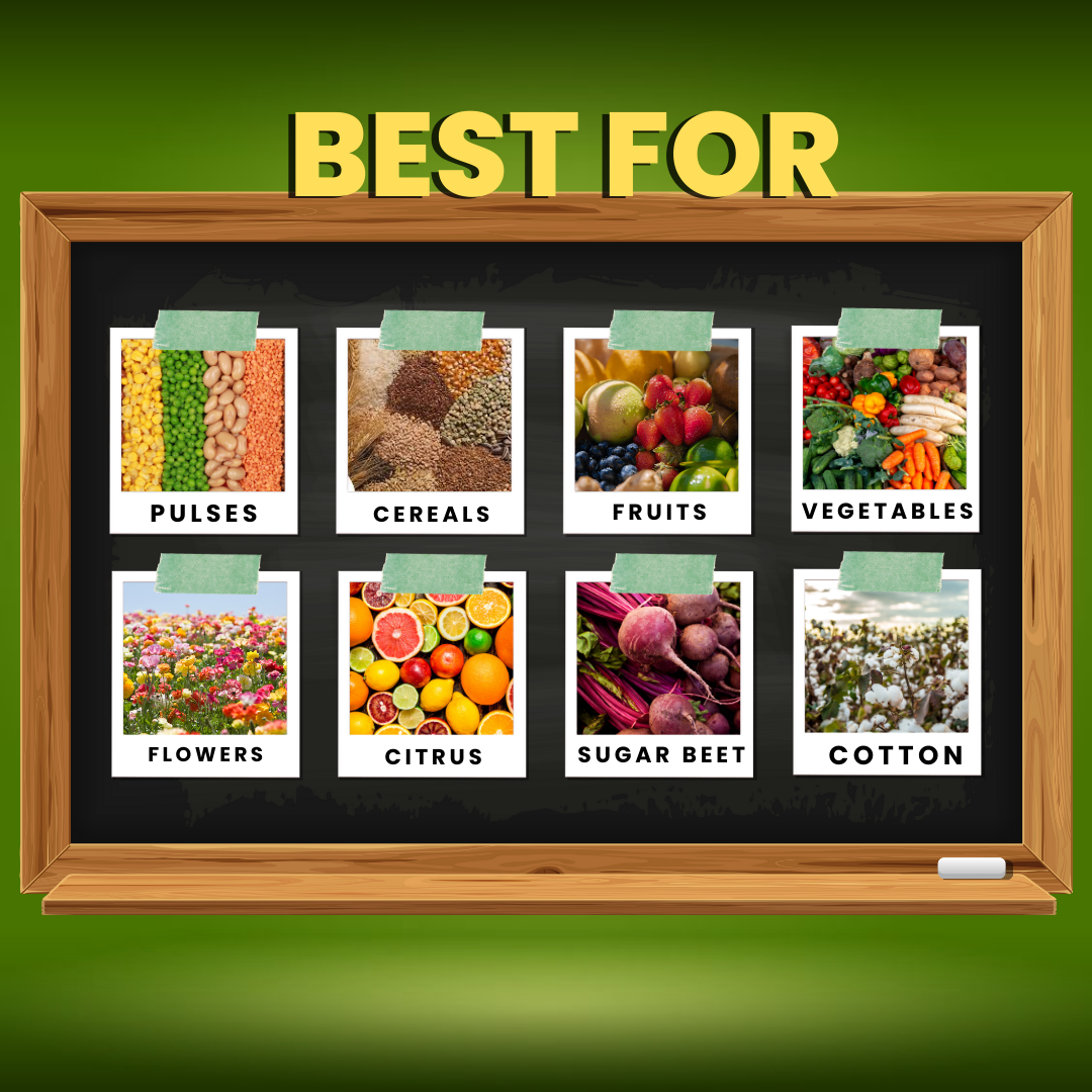 Katyayani Zinc Sulphate 33% | Monohydrate Micro Nutrient