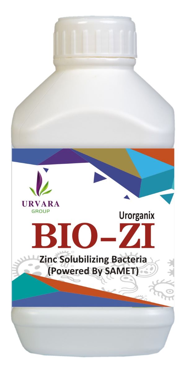 Biozi - Zinc Solubilizing Bacteria