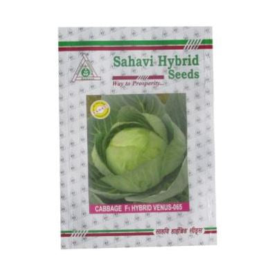 Cabbage / Patta Gobi Venus-065