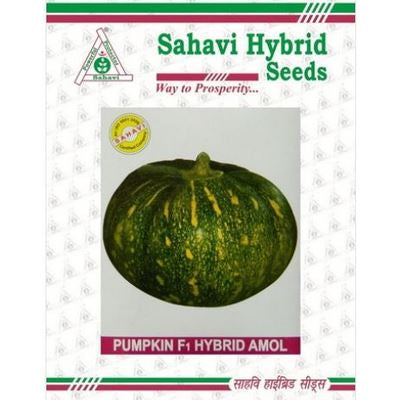 Pumpkin / Kaddoo Amol