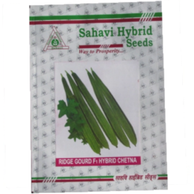 RidgeGourd / Turai Chetna