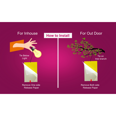 Chipku Yellow Sticky Glue Trap for Insect