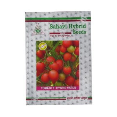 Tomato Varun