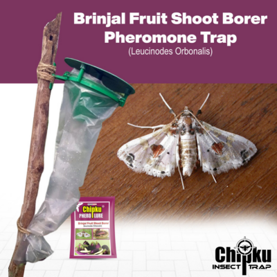 Chipku Pheromone Funnel Trap with Brinjal Fruit & Shoot Borer Lure (Combo Pack of 10)