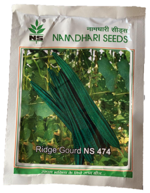 RidgeGourd / Turai NS 474