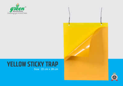 Yellow Sticky Trap