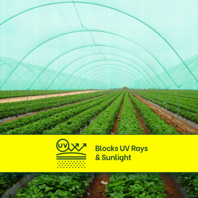 Mipatex 50% Green Shade Net 3m x 10m with Eyelets