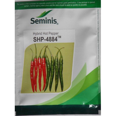 Chilli / Hot Pepper SHP4884