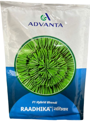 Okra / Lady Finger Raadhika