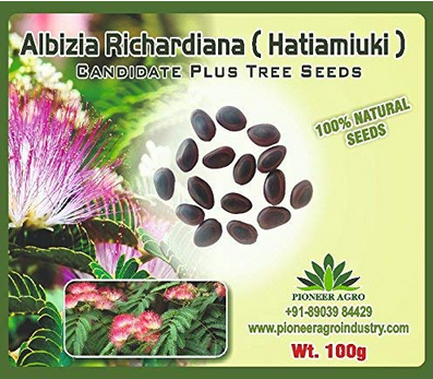 Albizia Richardiana / Saras Tree Seed 100 grams