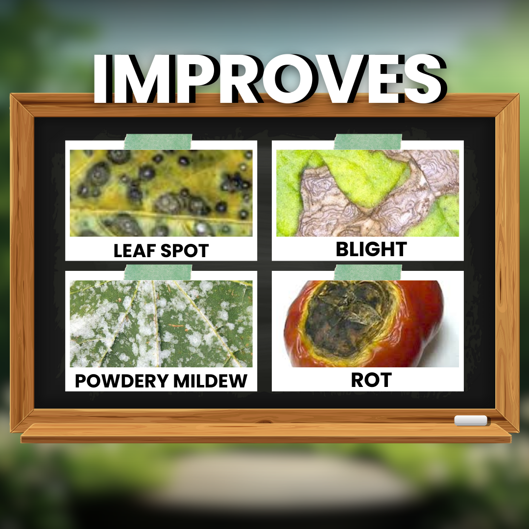 Katyayani All in One - Organic Fungicide