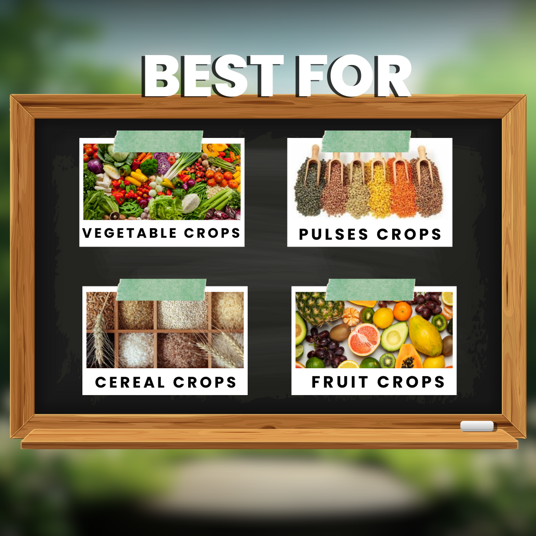 Katyayani All in One - Organic Fungicide