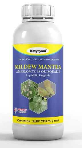 Katyayani Mildew Mantra - Ampelomyces Quisqualis | Bio Fungicide